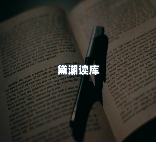 关于黛潮读库